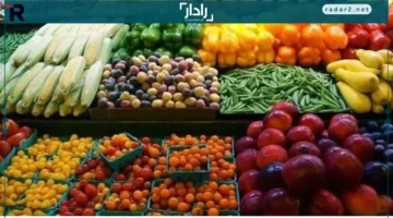 أسعار صادمة.. تعرف على سعر الموز وأبرز تغييرات الفاكهة في 14 ديسمبر 2025